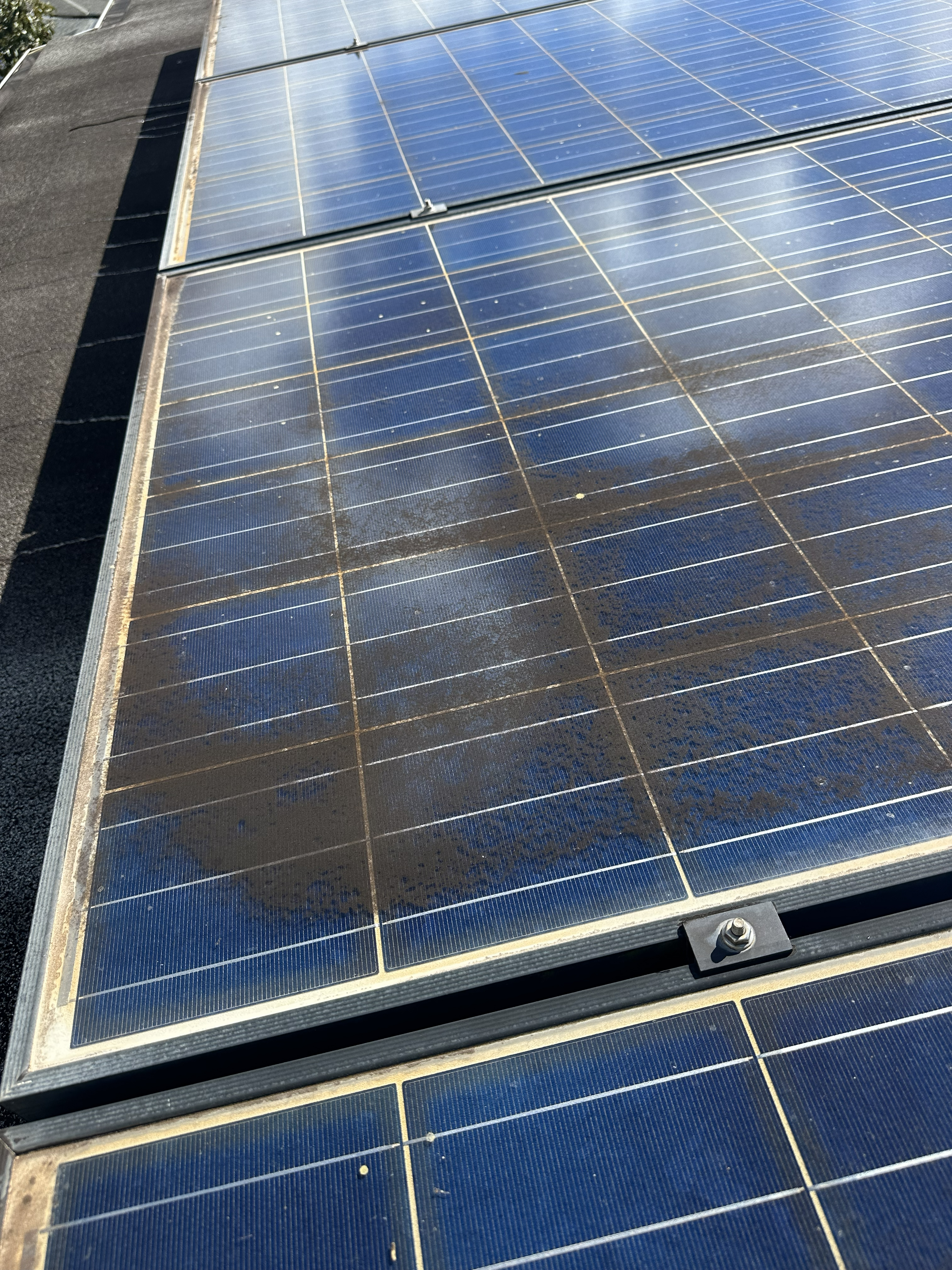 Solar panel before cleaning